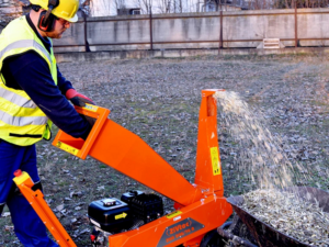 cikk_6_ro_aprilis_wp